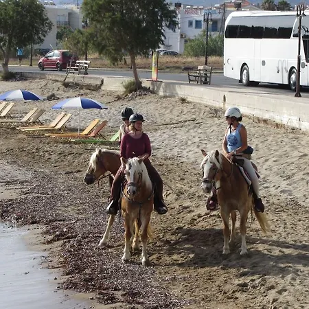 Galini 3* Ανισσαράς