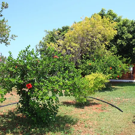 Galini 3*